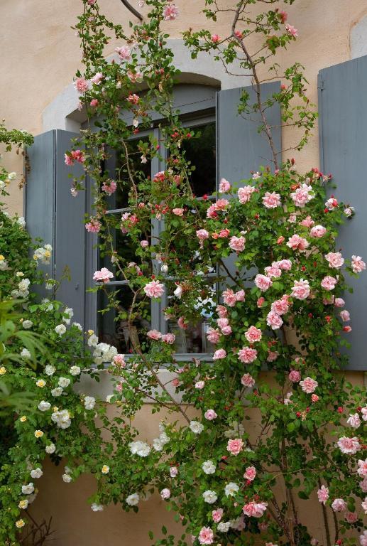 Logis Hotel - Restaurant La Marbrerie Caunes-Minervois Ruang foto